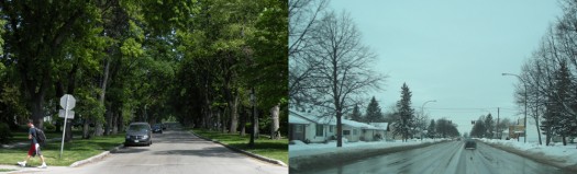 Those trees on the right aren't ever growing together.