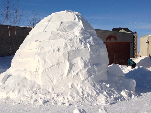 Igloo on WAG rooftop.