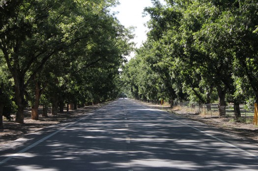 Highway 28, Doña Ana County, NM. Image © PlaceMakers & Andrew von Maur.