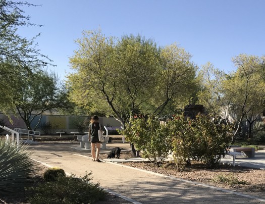 Neighborhood-scale park in the Barrio