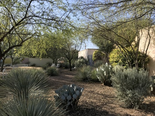 Xeric landscape choices help reduce water usage and manage storm water onsite.