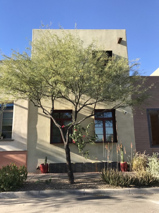 Contemporary and traditional architectural styles mix easily, thanks to similar urban forms.