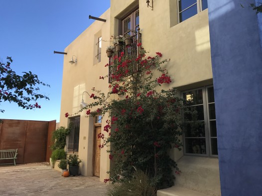 A courtyard punctuating a multi-family building provides welcome shade.