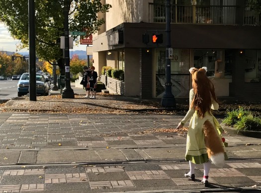 Oh look, a fox!