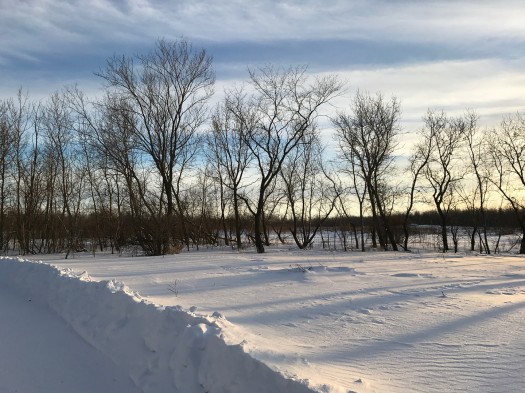 Canada's largest urban nature park is the 280 hectare Assiniboine Forest, in Winnipeg. It is part of the larger 450+ hectare Assiniboine Park.