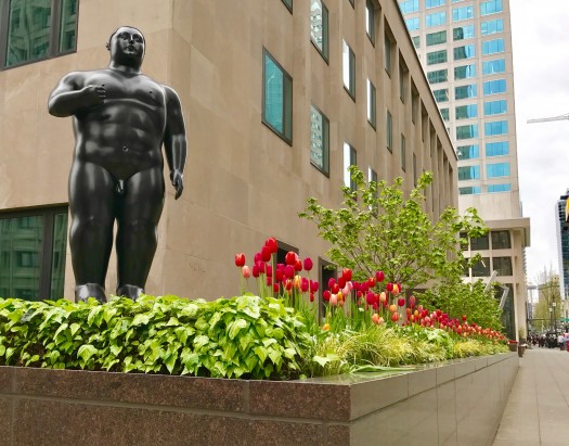 Botero and tulips: massive and delicate together. On Madison Avenue.