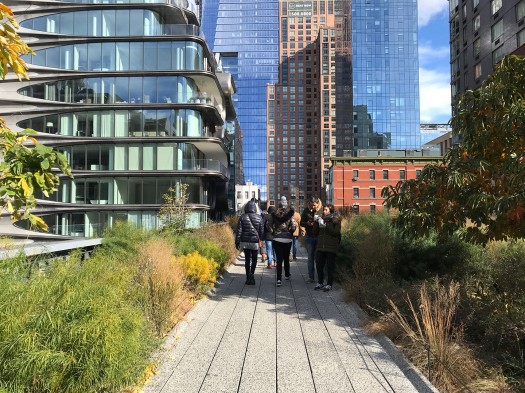 New Yorkers emit a little over a third of the carbon emissions as the average American, thanks to transit-served compact, walkable urbanism. Image: The High Line, CreativeCommons ShareAlike with Attribution to Hazel Borys, 2017.