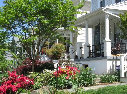 This lush residential neighborhood in Washington DC is also highly walkable (Walk Score: 91) (photo ©2018 by Kaid Benfield. Click image for larger view.)
