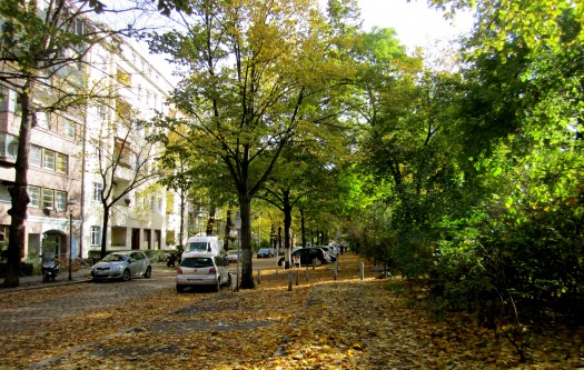 A green urban neighborhood in Berlin (photo courtesy of La Citta Vita, Creative Commons. Click for original.)