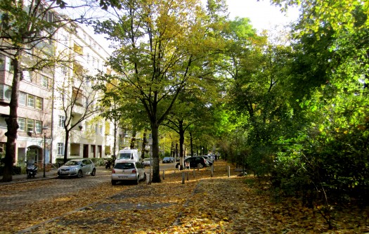 A green urban neighborhood in Berlin (photo courtesy of La Citta Vita, Creative Commons. Click for original.)