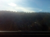 ratonpass_nm