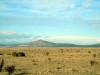 tetillapeak_nm